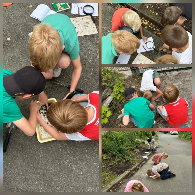 De Big Five kennen jullie vast, maar kennen jullie de Tiny Ten ook? 🔎 Groep 3/4 wel! Zij gingen op safari rond school op zoek naar de Tiny Ten 🪱🪲🐜🐌